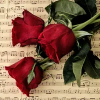 original sound - nur_ev_temizliyi