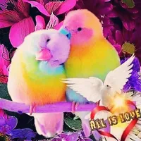 بحبك لو قريب مني بحبك