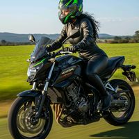 lennydiniz296