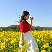 오리지널 사운드 - leesutravel