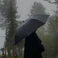 آية عن المطر