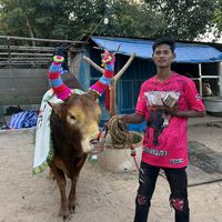 htet.waiyan320