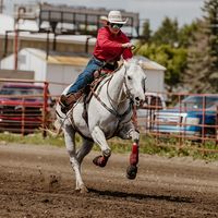 Horse accident