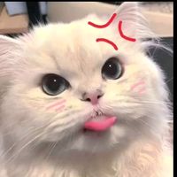 เสียงต้นฉบับ - 🍏~H~🍓ອະຮົ້ວຊອ່ງໄຫມ່🍀
