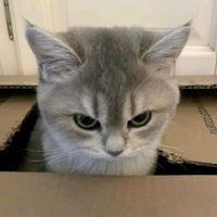 เสียงต้นฉบับ - Kade_Tee