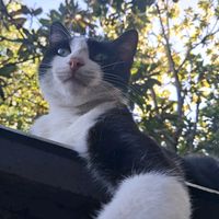 patricia_escobar503