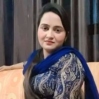 sanamaliksailhazara0