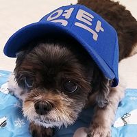 dubyeol