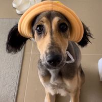 emmathesaluki