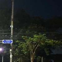 เสียงต้นฉบับ - Dang