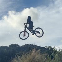 mtb_max445
