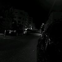 zoherralwadihi