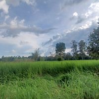 เสียงต้นฉบับ - จ๋าน้อยจอมดื้อ