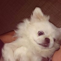 junlovexxx
