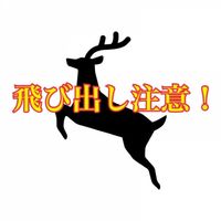 shikadh_45