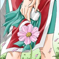 sakutard_6