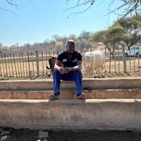 moyagabo.gilbert