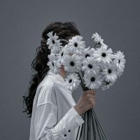 s1417a