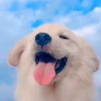 original sound - music_6610