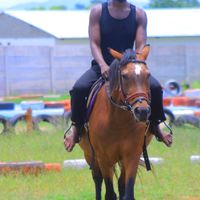 shandu1531