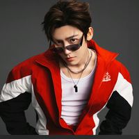 suara asli - vls_HmH