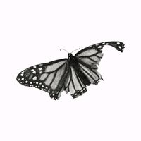 original sound - Thuta999