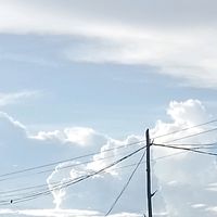 jayellziwjw