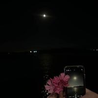 ghina798