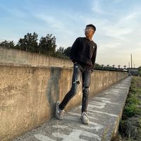 roy100_0531
