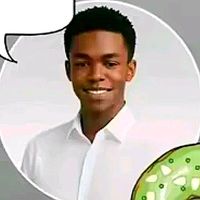 oboydignitygh124.com