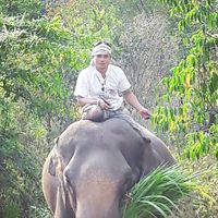 elephantsing599999999