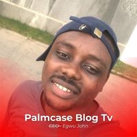 palmcaseblog_tv
