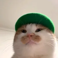 putar ke kiri e boxing TAROO