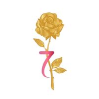 the7.rose