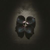 original sound - midnightpetals.wav