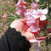 kr_ma93