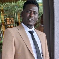 artist.warioliban
