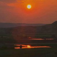 الصوت الأصلي