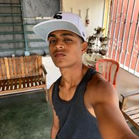 viosnel