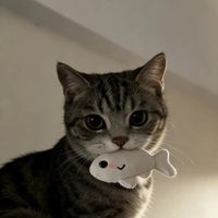 jellycatcatcat0