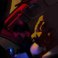 هلا والله شخباركم