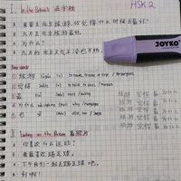 junia_mandarin