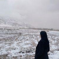 mashalsheh