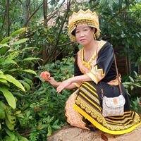 nhạc nền