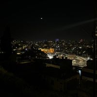 michaelmaalouf79