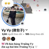 tranthitruongvy22.02