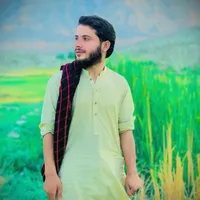 Saveer Zaib