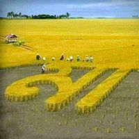 shafali_aktar_22