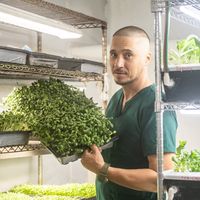 microgreensmundo