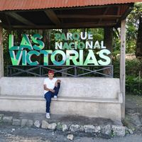 luiguimarquez97